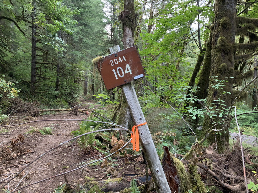 Mile marker photographed during field research.